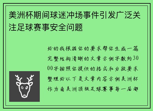 美洲杯期间球迷冲场事件引发广泛关注足球赛事安全问题 美洲杯期间球迷冲场事件引发广泛关注足球赛事安全问题